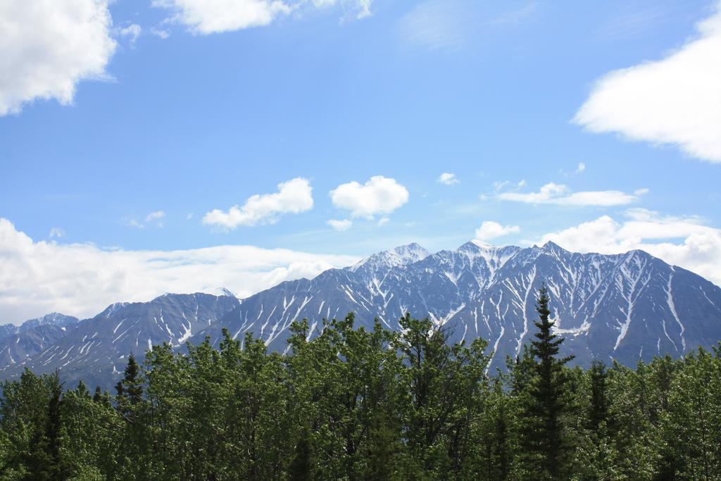 Mount Logan Ecolodge Haines Junction Room photo