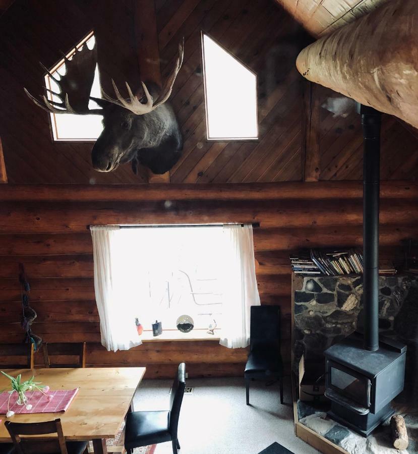 Mount Logan Ecolodge Haines Junction Exterior photo